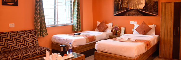 Standard Non-AC Rooms